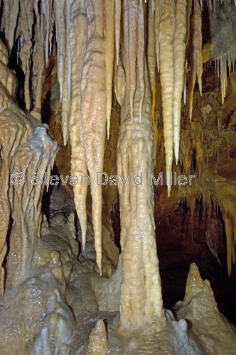 jenolan caves picture;jenolan caves;cave;blue mountains national park;blue mountains;steven david miller cave decorations;natural wanders